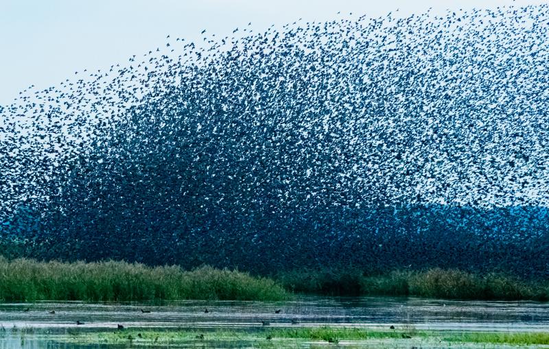  20121013_PB8_2615-2.JPG </br ><small> 2012-10-13 18:26</br >NIKON D800 + 70.0-200.0 mm f/2.8<br /> 200mm 1/400s f/5.6 ISO 5600</small>