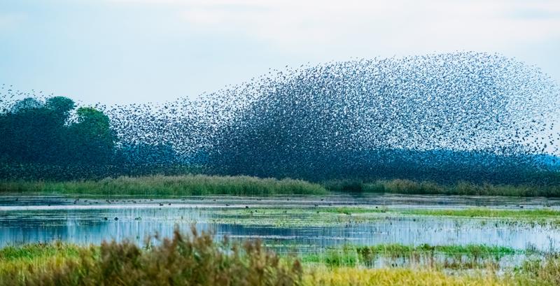  20121013_PB8_2615.JPG </br ><small> 2012-10-13 18:26</br >NIKON D800 + 70.0-200.0 mm f/2.8<br /> 200mm 1/400s f/5.6 ISO 5600</small>