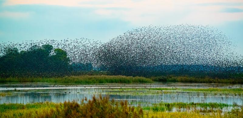  20121013_PB8_2616.JPG </br ><small> 2012-10-13 18:27</br >NIKON D800 + 70.0-200.0 mm f/2.8<br /> 200mm 1/400s f/5.6 ISO 4500</small>