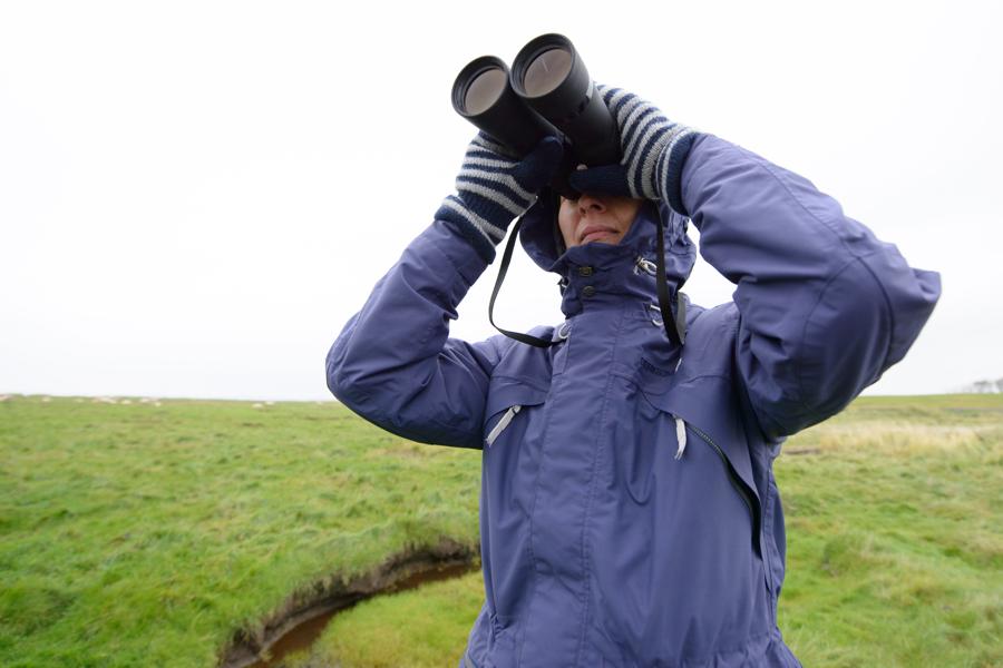 Soenderjylland og Sort Sol 2012