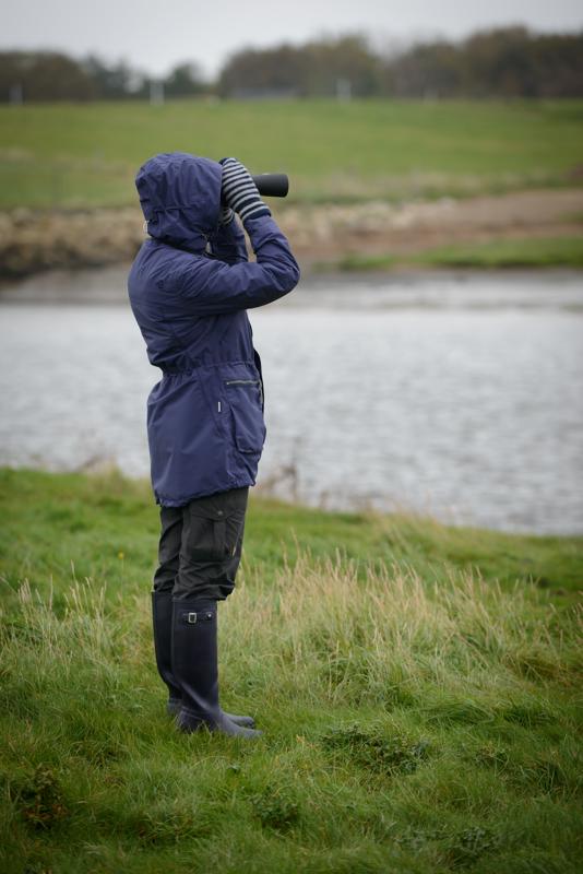  20121014_PB8_2649.JPG </br ><small> 2012-10-14 11:50</br >NIKON D800 + 70.0-200.0 mm f/2.8<br /> 155mm 1/320s f/4 ISO 280</small>