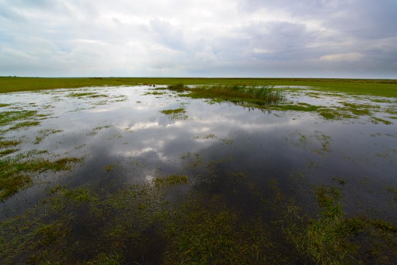  20121014_PB8_2690.JPG </br ><small> 2012-10-14 13:02</br >NIKON D800 + 14.0-24.0 mm f/2.8<br /> 14mm 1/320s f/9 ISO 200</small>