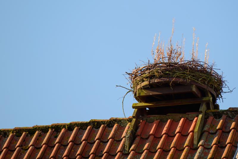  20121015_PB8_2926.JPG </br ><small> 2012-10-15 10:23</br >NIKON D800 + 70.0-200.0 mm f/2.8<br /> 200mm 1/800s f/4 ISO 100</small>