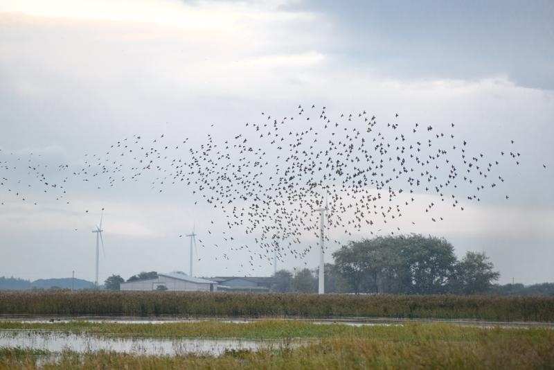  20121013_PB8_2549.JPG </br ><small> 2012-10-13 18:06</br >NIKON D800 + 70.0-200.0 mm f/2.8<br /> 200mm 1/400s f/4 ISO 640</small>