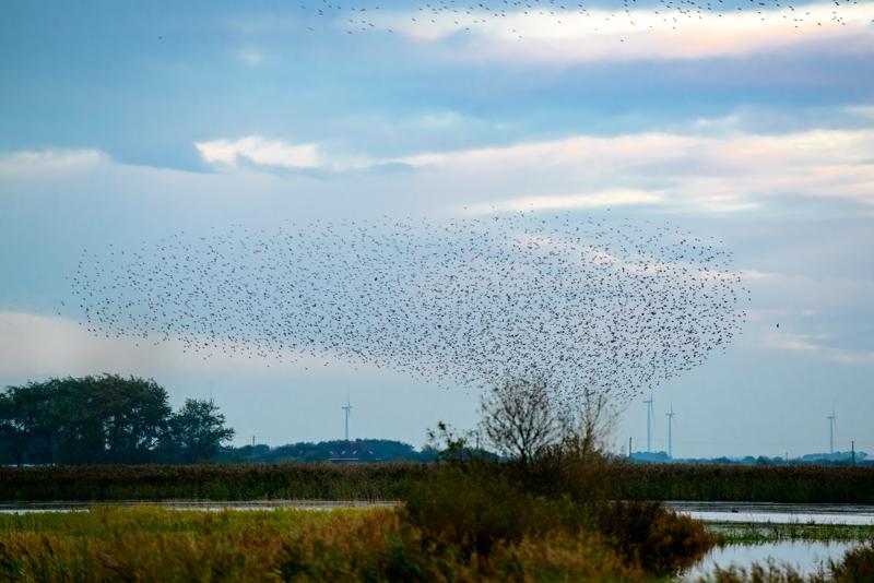  20121013_PB8_2559.JPG </br ><small> 2012-10-13 18:08</br >NIKON D800 + 70.0-200.0 mm f/2.8<br /> 200mm 1/400s f/5 ISO 1000</small>