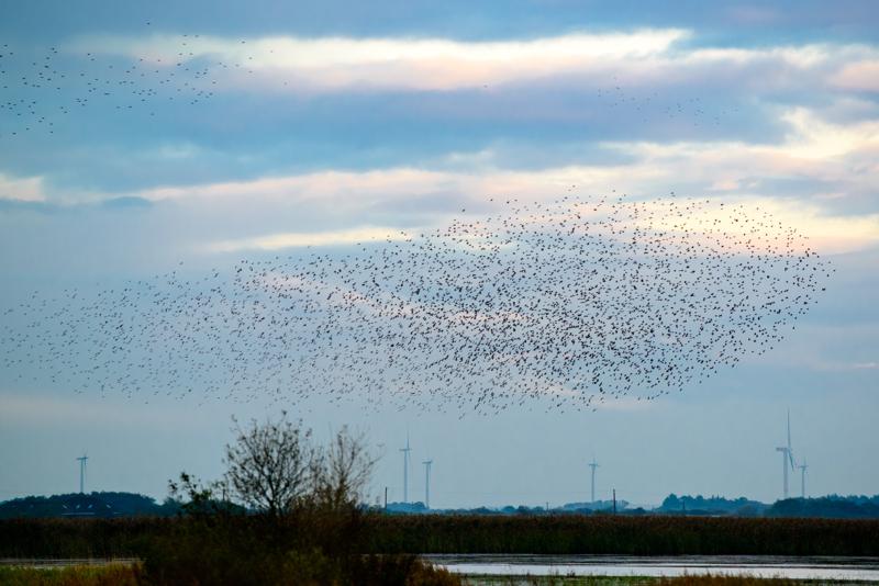  20121013_PB8_2560.JPG </br ><small> 2012-10-13 18:08</br >NIKON D800 + 70.0-200.0 mm f/2.8<br /> 200mm 1/400s f/5 ISO 800</small>