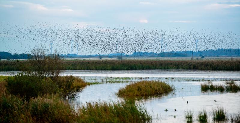  20121013_PB8_2566.JPG </br ><small> 2012-10-13 18:11</br >NIKON D800 + 70.0-200.0 mm f/2.8<br /> 200mm 1/400s f/5 ISO 1600</small>