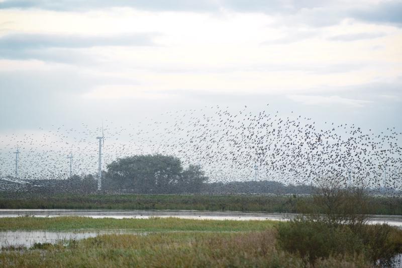  20121013_PB8_2583.JPG </br ><small> 2012-10-13 18:17</br >NIKON D800 + 70.0-200.0 mm f/2.8<br /> 200mm 1/400s f/5 ISO 2000</small>