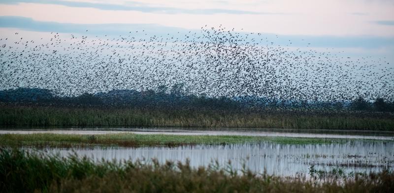  20121013_PB8_2620.JPG </br ><small> 2012-10-13 18:27</br >NIKON D800 + 70.0-200.0 mm f/2.8<br /> 200mm 1/400s f/4 ISO 2500</small>