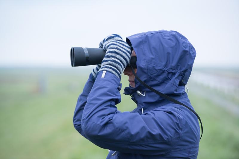  20121014_PB8_2811.JPG </br ><small> 2012-10-14 16:05</br >NIKON D800 + 70.0-200.0 mm f/2.8<br /> 170mm 1/400s f/5.6 ISO 720</small>