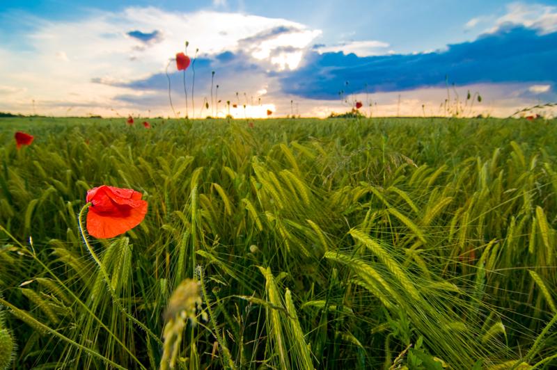  D3C_1470.jpg </br ><small> 2008-06-14 20:41</br >NIKON D300 12mm 1/125s f/8 ISO 200</small>